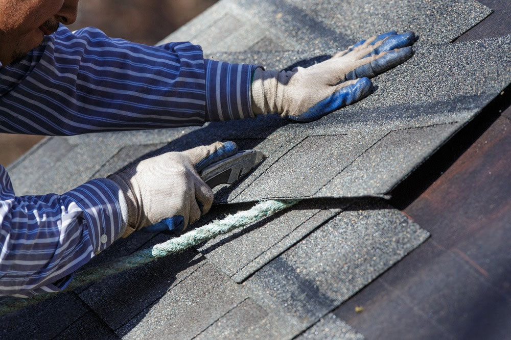 Shingle TPO / Flat Roofing